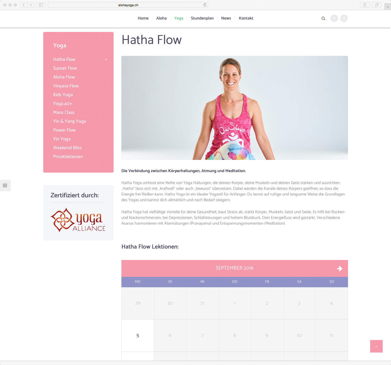 visual 3 - hatha yoga