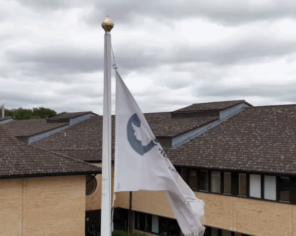 BAS Flag