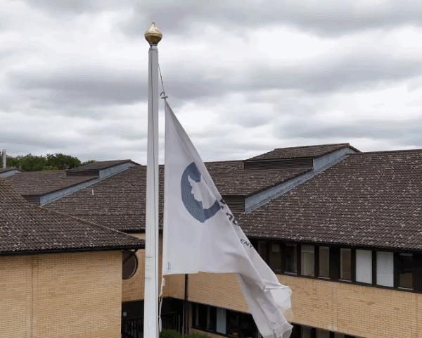 BAS Flag