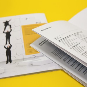 Fachhochschule Nordwestschweiz FHNW – Info Brochure 2