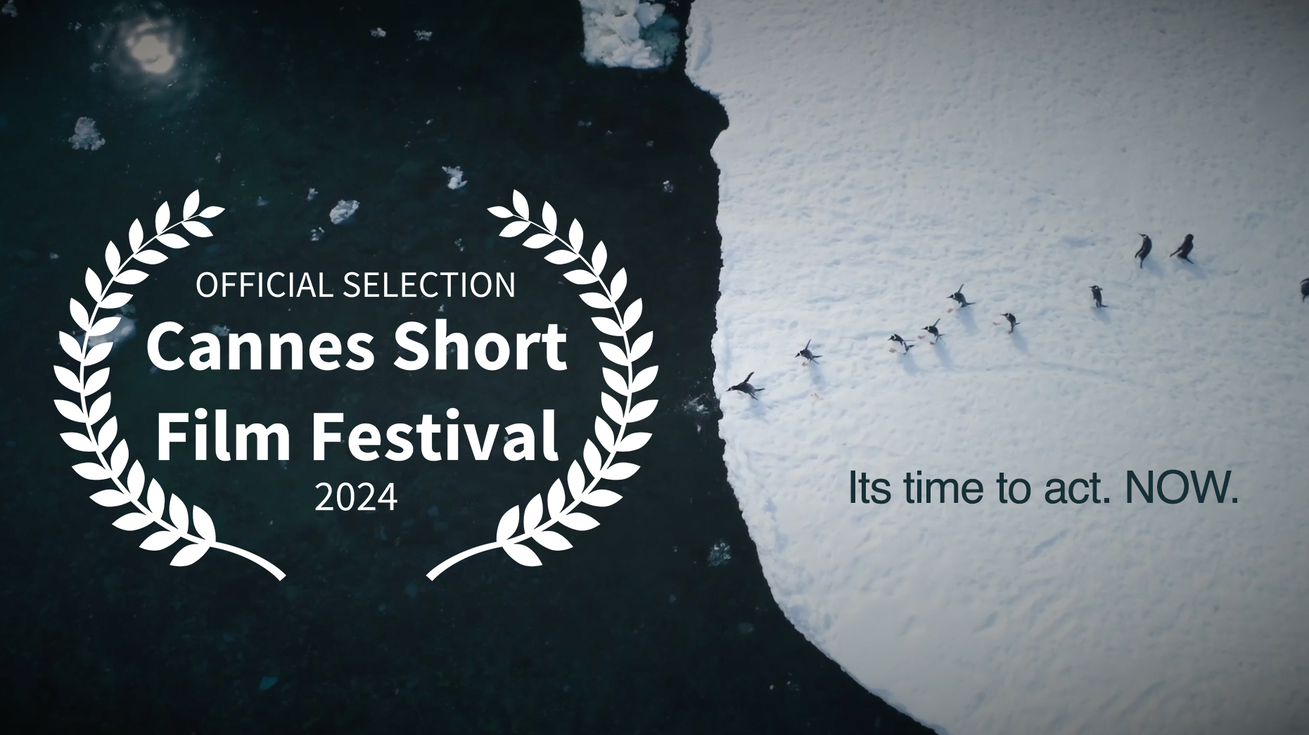 Cannes Short Film Festival