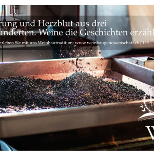 _df l wgs l 125jubilee – 10