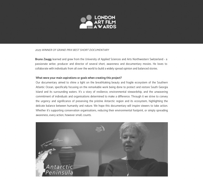 London Art Film Awards Blog